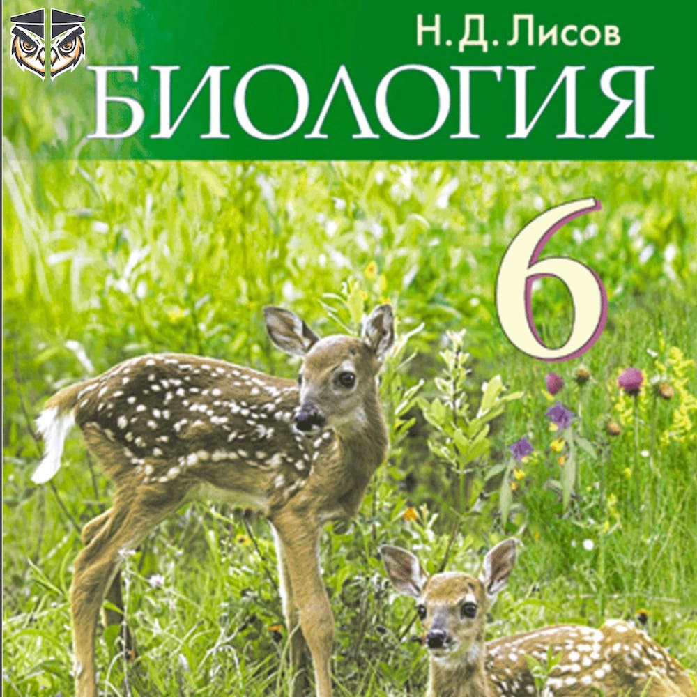 Учебники и КТП